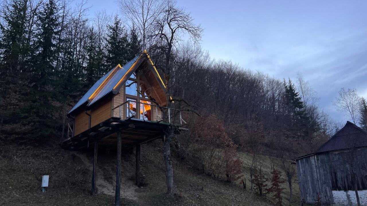 Tree House - Tara Place Mojkovac Luaran gambar