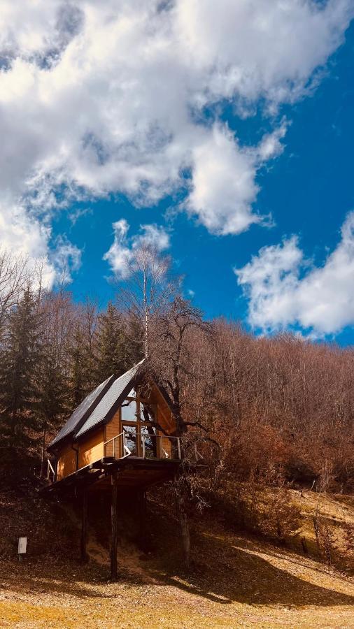 Tree House - Tara Place Mojkovac Luaran gambar