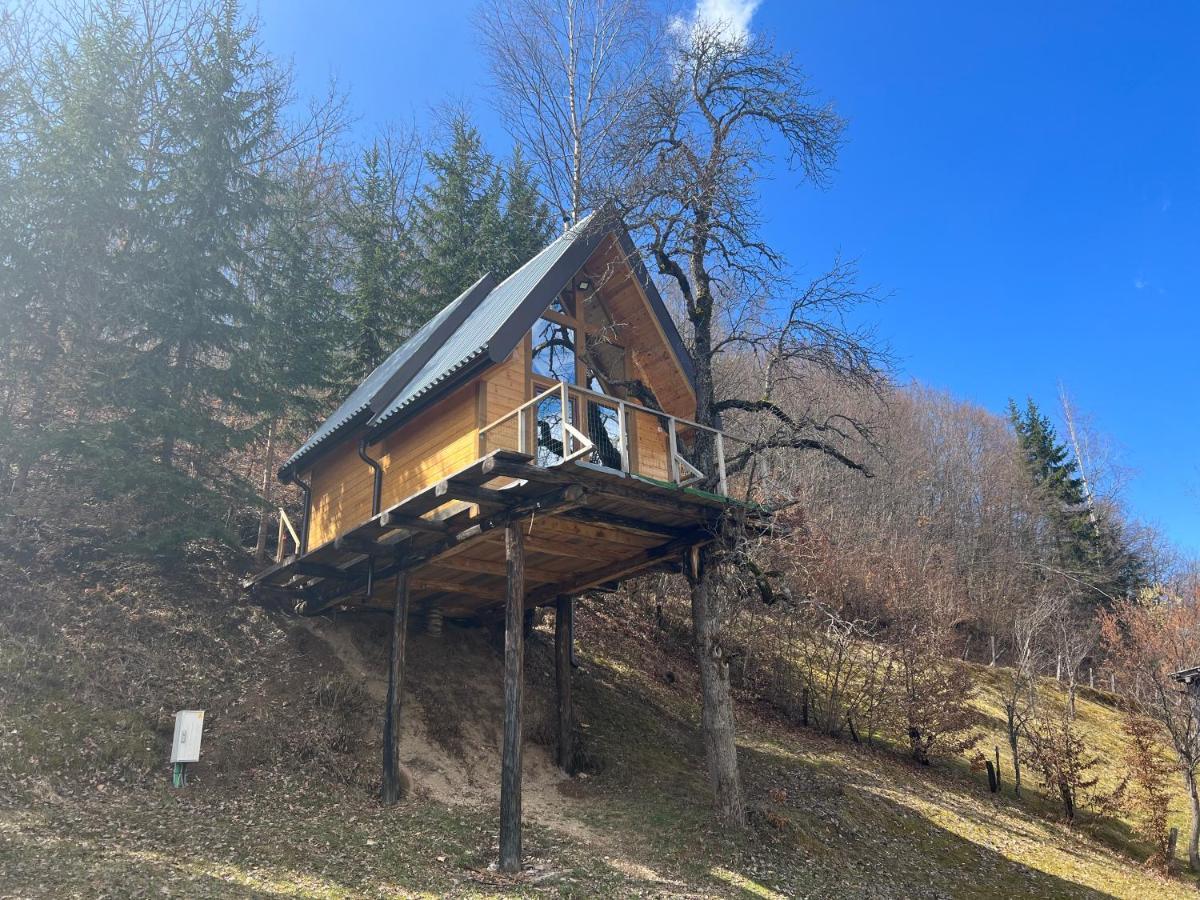 Tree House - Tara Place Mojkovac Luaran gambar