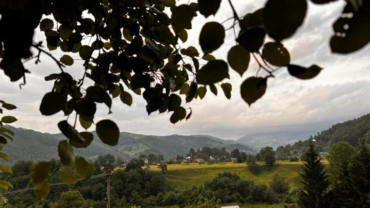 Tree House - Tara Place Mojkovac Luaran gambar