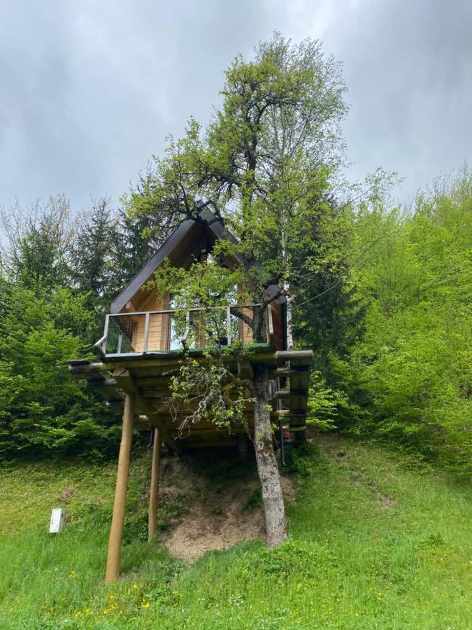Tree House - Tara Place Mojkovac Luaran gambar